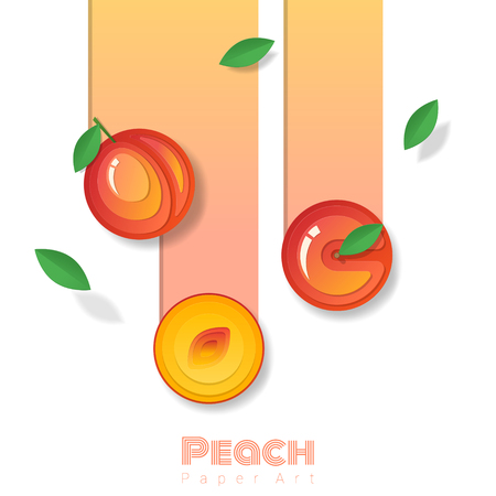 Fresh peach fruit background in paper art style , vector , illustrationのイラスト素材