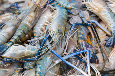 fresh shrimp, seafood background