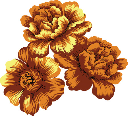 Orange yellow rose.のイラスト素材