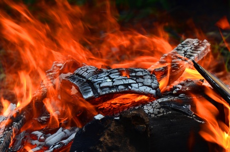 Campfireの写真素材