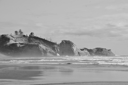 black and white photo of ocean shoreの写真素材