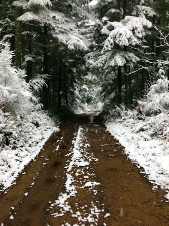 Winterの写真素材