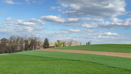 Landscape with green field and blue sky with white clouds. Spring landscape.