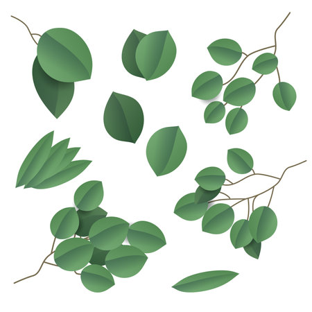 Leaves designer art, Vector natural decoration various elegant illustration designのイラスト素材