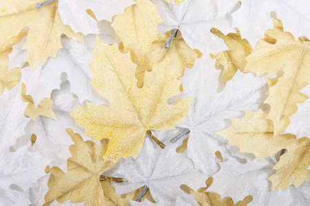 Silver and golden leaves decoration background の写真素材
