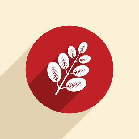 branch with leaves. the symbol of biology.のイラスト素材