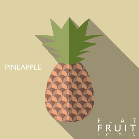 Pineapple flat icon with long shadow. Use as a icon or greeting cardのイラスト素材