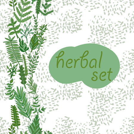 herbal border pattern. hand drawn vector seamless illustrationのイラスト素材