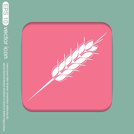 wheat spike ears iconのイラスト素材