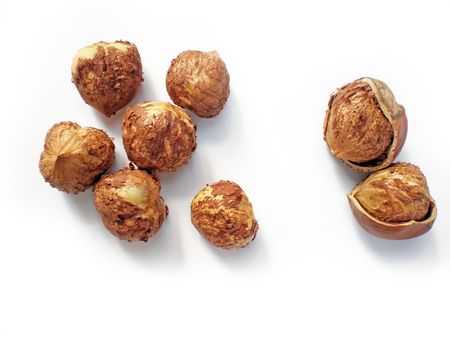 hazelnuts  の写真素材