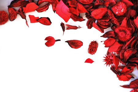 decorative dried plants and flowers