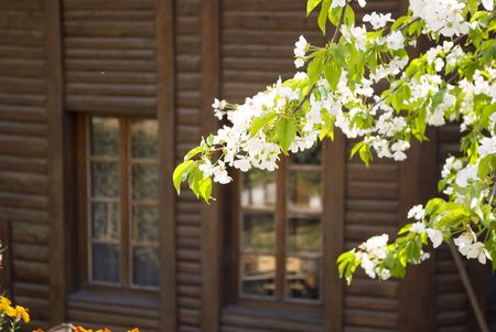 city view with old houses Veliko Turnovo Bulgariaの写真素材