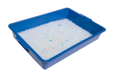 kittens blue litter box full of silicone absorbent substanceの写真素材