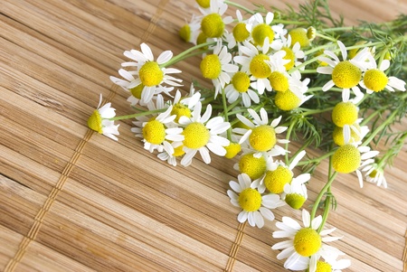 chamomile herb over wooden matの写真素材
