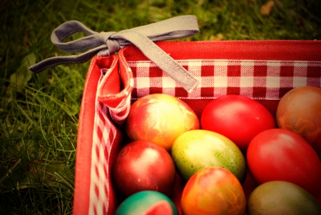 colorful easter eggs on green grass backgroundの写真素材