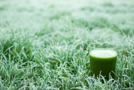 healthy organic green detox juice in a frozen grassの写真素材