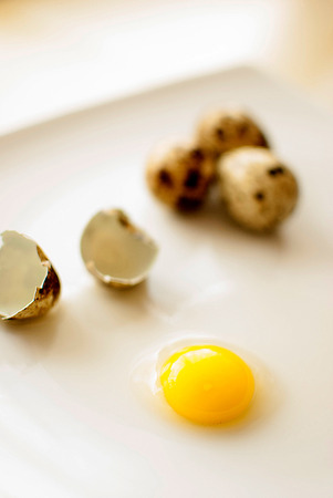 healthy fresh organic quail eggsの写真素材