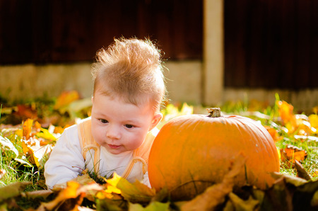 Cute baby girl with pumpkin in autumn garden covered with colorful autumn leavesの写真素材