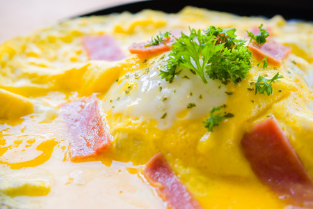 delicious fusion food from egg, delicious Omelet ham parsley and oregano on top of rice in...