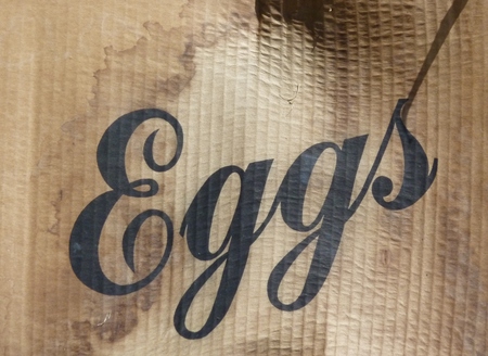 egg carton boxの写真素材