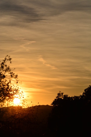 sunsetの写真素材
