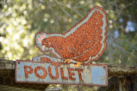 metal chicken sign in Frenchの写真素材
