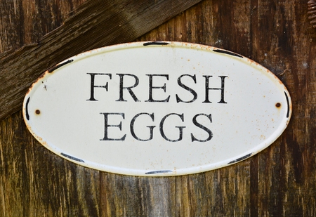 sign advertising fresh eggsの写真素材