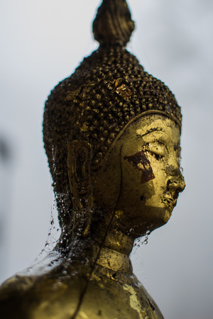 The Buddhaの写真素材
