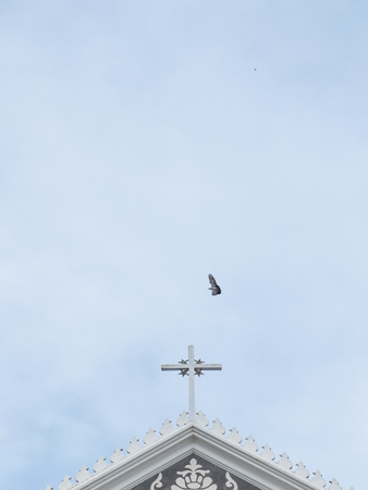 Church cross with bird flying and blue skyの写真素材