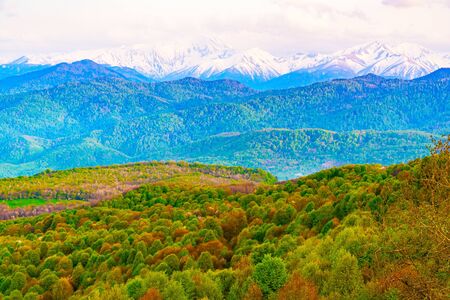 The mountains tree in autumn. Caucasus mountains and pines with sky space background. の写真素材