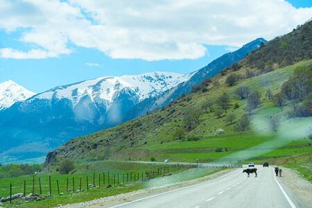 Country road to the Dombay mountains in Russia. Blue sky dayの写真素材
