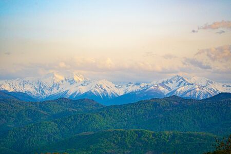 The mountains tree in autumn. Caucasus mountains and pines with sky space background. の写真素材