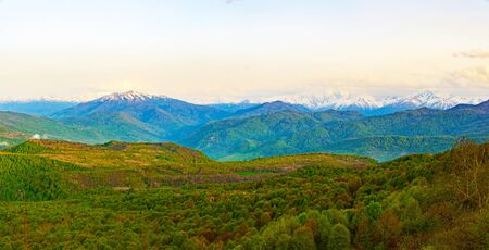The mountains tree in autumn. Caucasus mountains and pines with sky space background. の写真素材