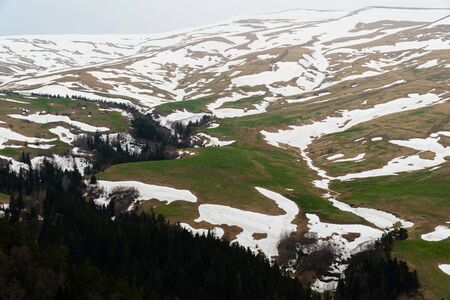 Lago Naki - the tree and nature in Caucasus Mountains with snow in winter seasonの写真素材