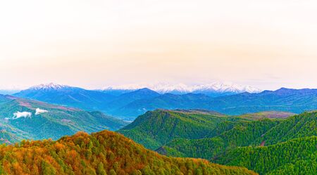 The mountains tree in autumn. Caucasus mountains and pines with sky space background. の写真素材