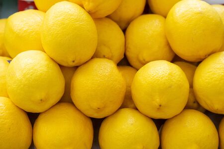 Lemon in various sizes, yellow color background in freshness.の写真素材