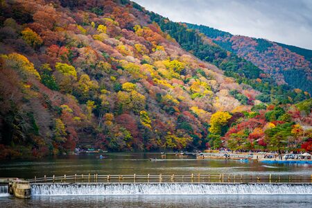 Arashiyama forest view in the Autumn along Katsura river. Kyoto, Japan.の写真素材