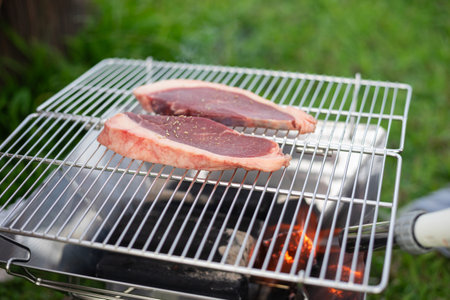 Food lover at Camping! Cooking food during camping at natural lake and mountain view background. Recreation and journey outdoor activity lifestyle.の写真素材