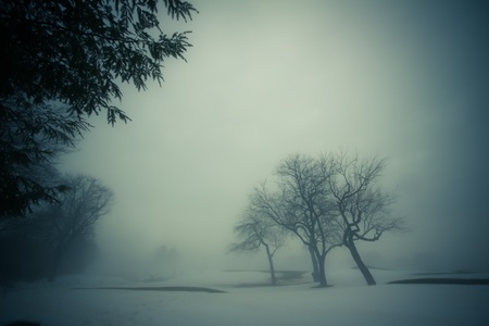 An atmospheric image of a winter landscapeの写真素材