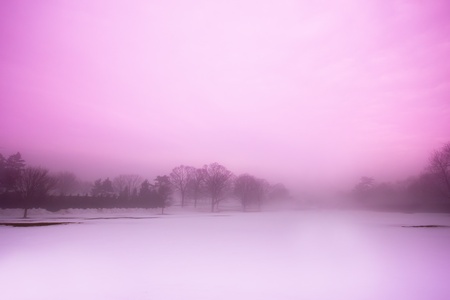 An atmospheric image of a winter landscapeの写真素材