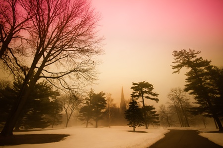 A winter landscape on a snowy, misty morning with trees and a cathedral in the distanceの写真素材