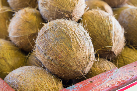 tropical coconuts at market
