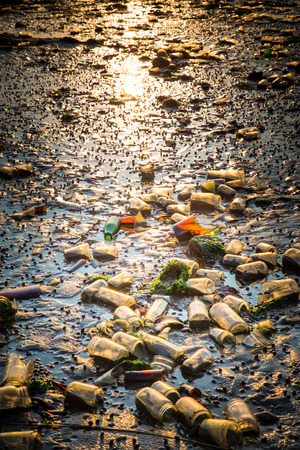 Polluted beach covered in old glass bottles from landfill at Dead Horse Bay in Brooklyn NYの写真素材