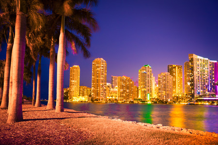 Beautiful night view of the city of Miami skyline with bay,  palm trees and golden lit buildings.の写真素材