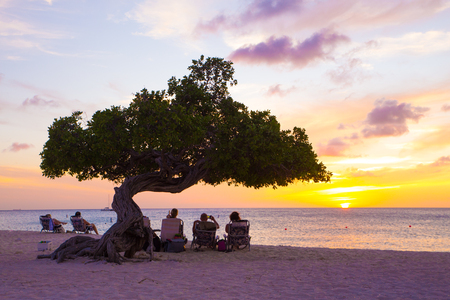 EAGLE BEACH, ARUBA - MARCH 15, 2017: View of Eagle Beach, Aruba at sunset with Divi Divi tree and tourists.のeditorial素材