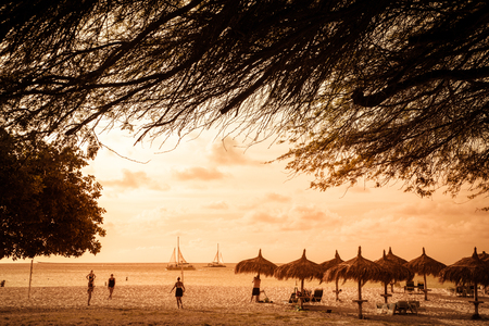 NOORD, ARUBA - MARCH 14, 2017: Beautiful view along tourist area inPalm Beach in Aruba with palm trees, visitors and sandのeditorial素材