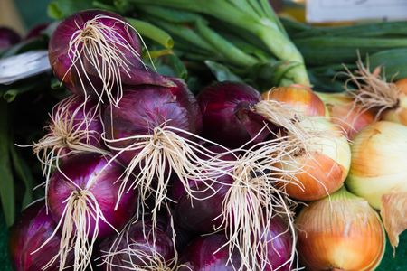 Red and yellow onions for sale in farmers marketの写真素材