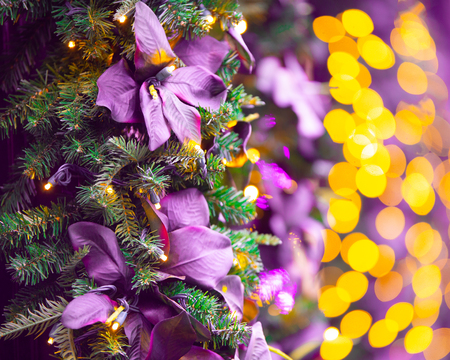 Beautiful colorful Christmas holiday backdrop image with lights, leaves and Christmas tree branchesの写真素材