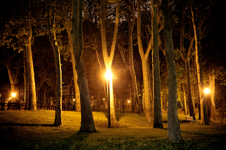 Dark city park seen at night with trees and street lightsの写真素材