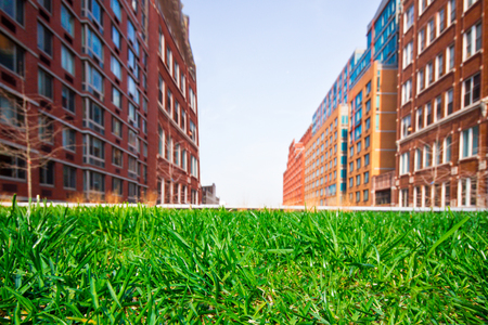 Green grass lawn with city apartment buildings in the backgroundの写真素材
